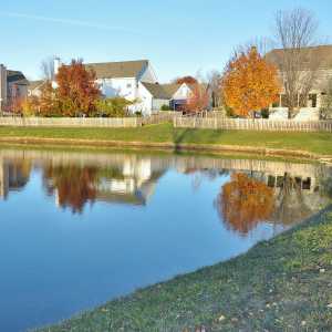 pond_04