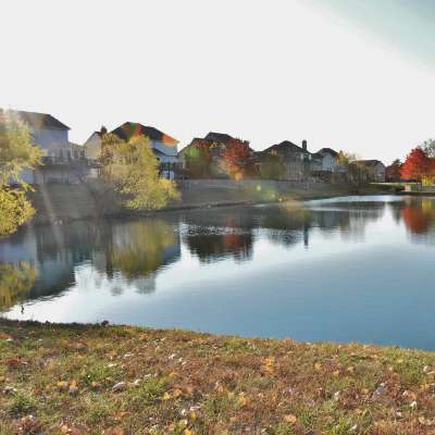 Pond